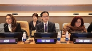 Vietnam calls for accelerated preparations for BBNJ Agreement implementation